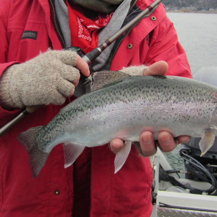 Harrod: Winter Trout Fishing in the Pacific Northwest