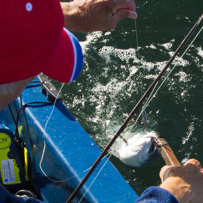 SBF Tips: Summer Salmon Fishing with the Sonic BaitFish