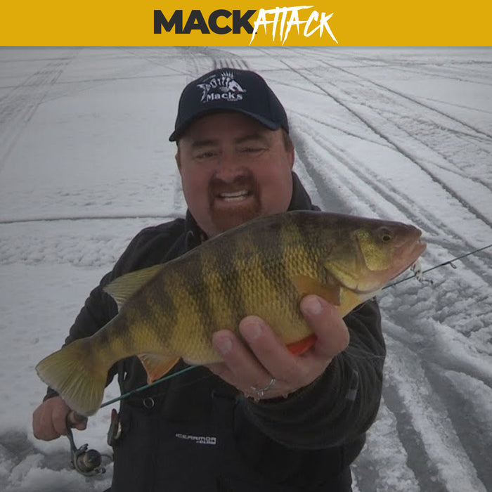 AWTV: Jigging for Yellow Perch with Sonic BaitFish
