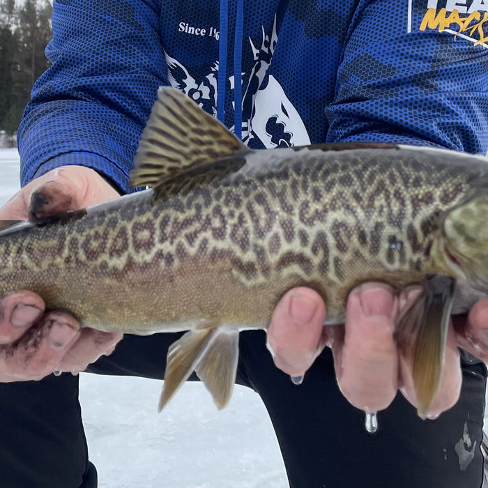 Podcast: Ice Fishing in North Central Washington with Chris Marcolin