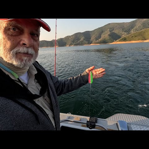 Shasta Lake Fall Trout on Angler West