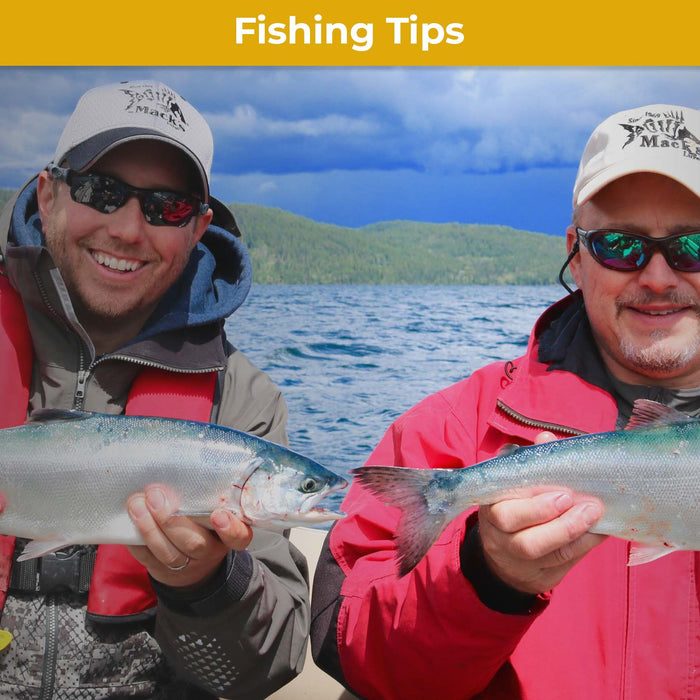 Expert Tips: What Makes Kokanee Attack a Lure