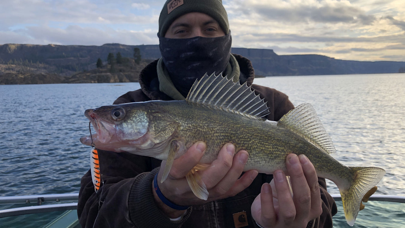 Mack Attack Magazine - March -2024 - Columbia River Walleye Podcast