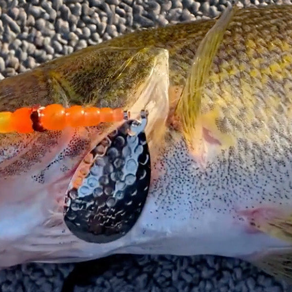 Pro-Guide Tips: Walleye Slam