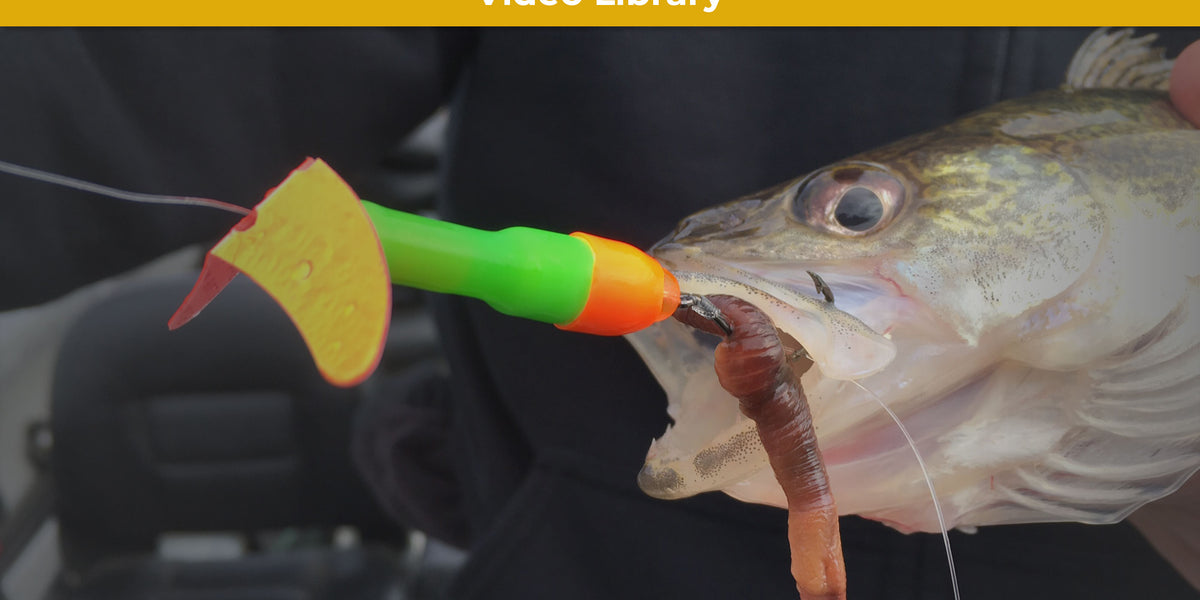 Buoyant Walleye Lures | Deadliest Spinners for Big Walleye Mack's Lure Tackle Buoyant Walleye Lures | Deadliest Spinners for Big Walleye Mack's Lure Tackle