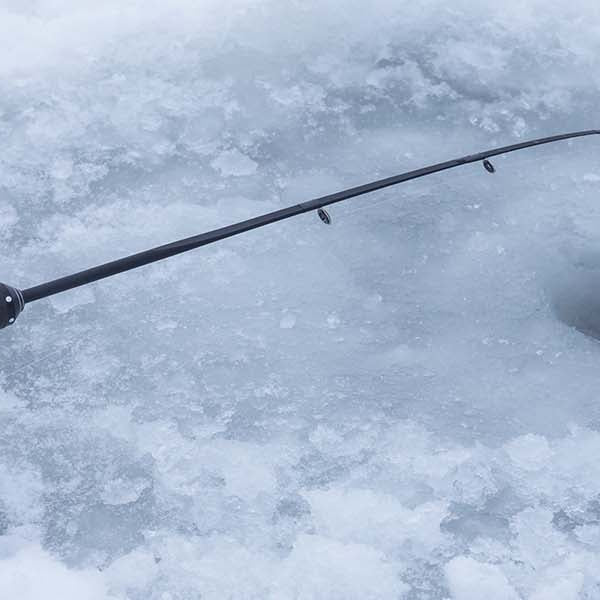 Sonic BaitFish: Targeting Burbot Through the Ice