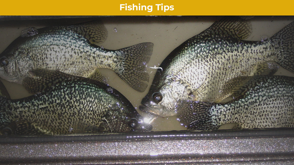 Stan's Tips on Finding and Catching Big Crappie — Mack's Lure Tackle