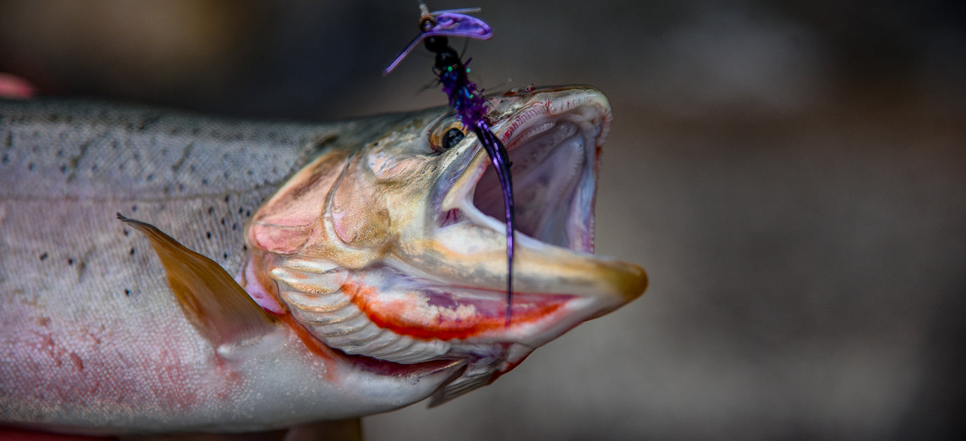 Brooks: Proven Trolling Techniques for Landing Big Trout — Mack's Lure  Tackle