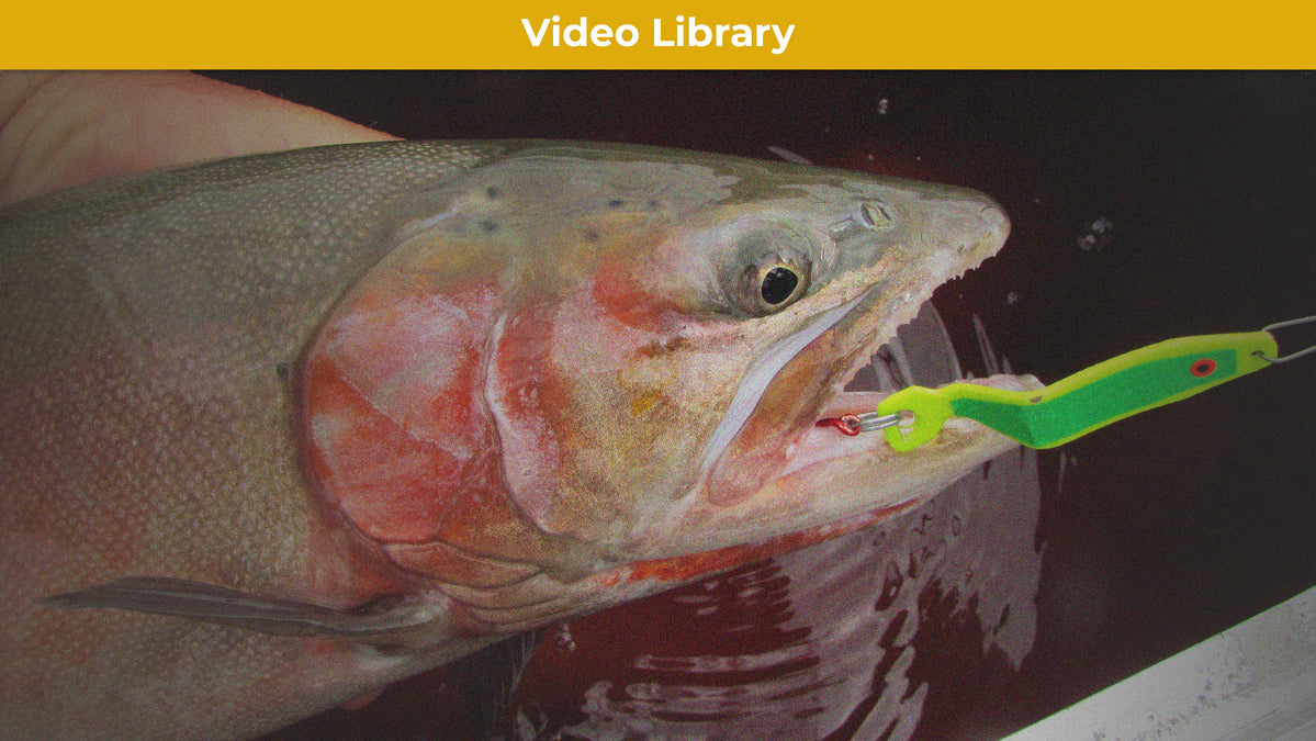Mack's Lure Kokanee Killer Spinnerbaits Freshwater Trout Fishing Lure, Flo  Orange Beads - Yahoo Shopping