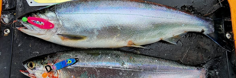bentley fishing lures Stack Tackle Mully 5