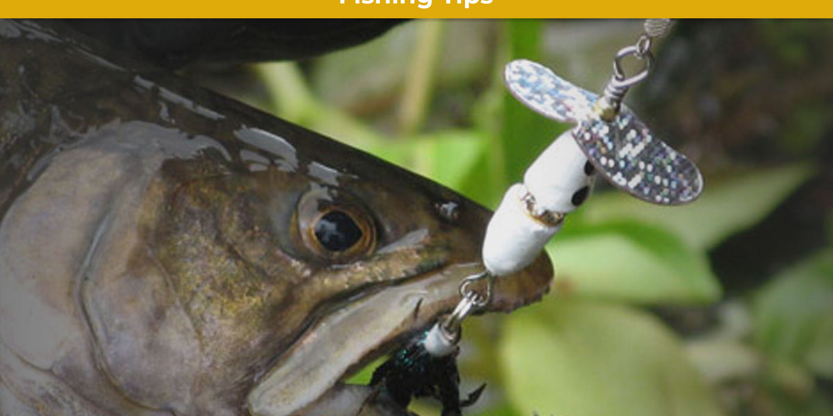 best lures and spinners for trout Panther Martin AW6 of the Best Kit Anywhere Pro Guide These classic spinners have proven themselves irresistible to all gamefish The Best Spinners for Trout