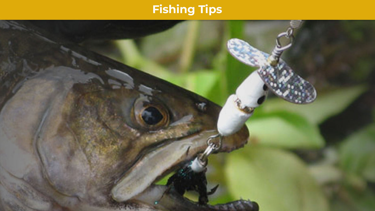 are spinning.lures good.for.trout THKFISH 4pcs Fishing Spinnerbaits Trout Lures for Bass Trout Crappie These Spinners Catch Trout and