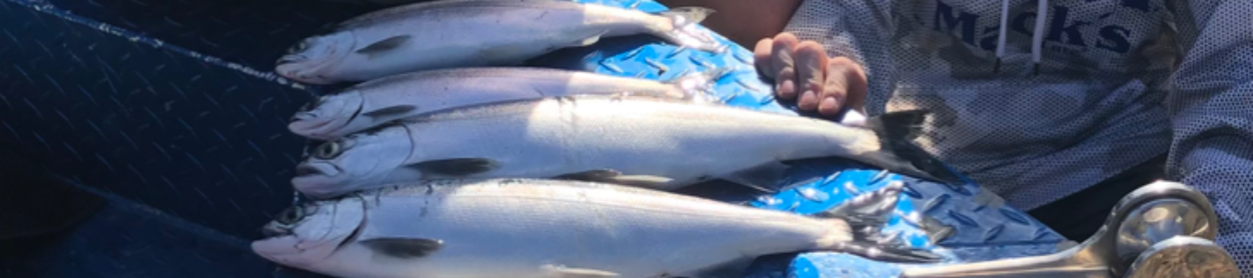 Easy Lemon Garlic Grilled Kokanee