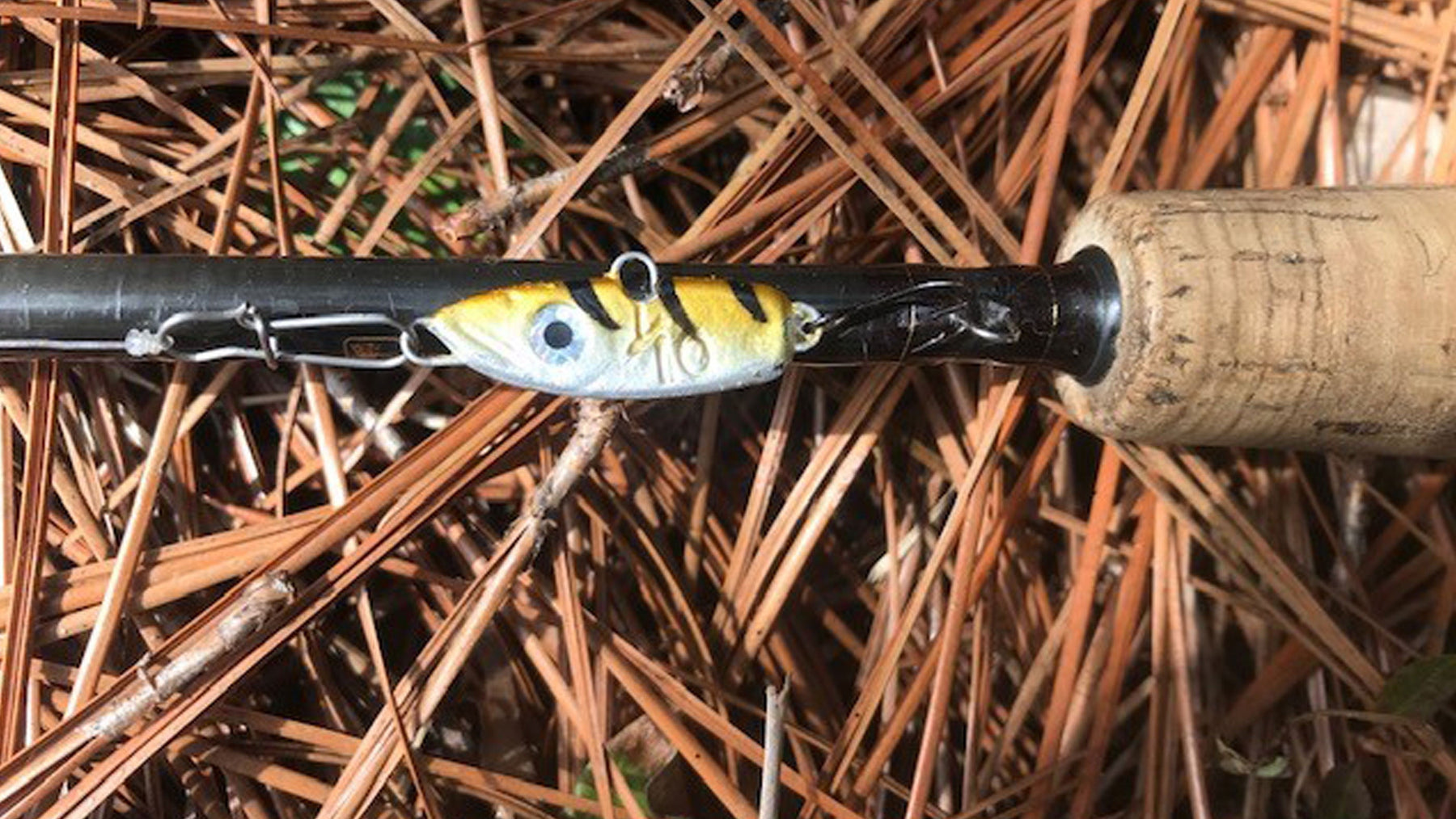 Unlock Winter Bites with the Mack’s Lure Sonic BaitFish
