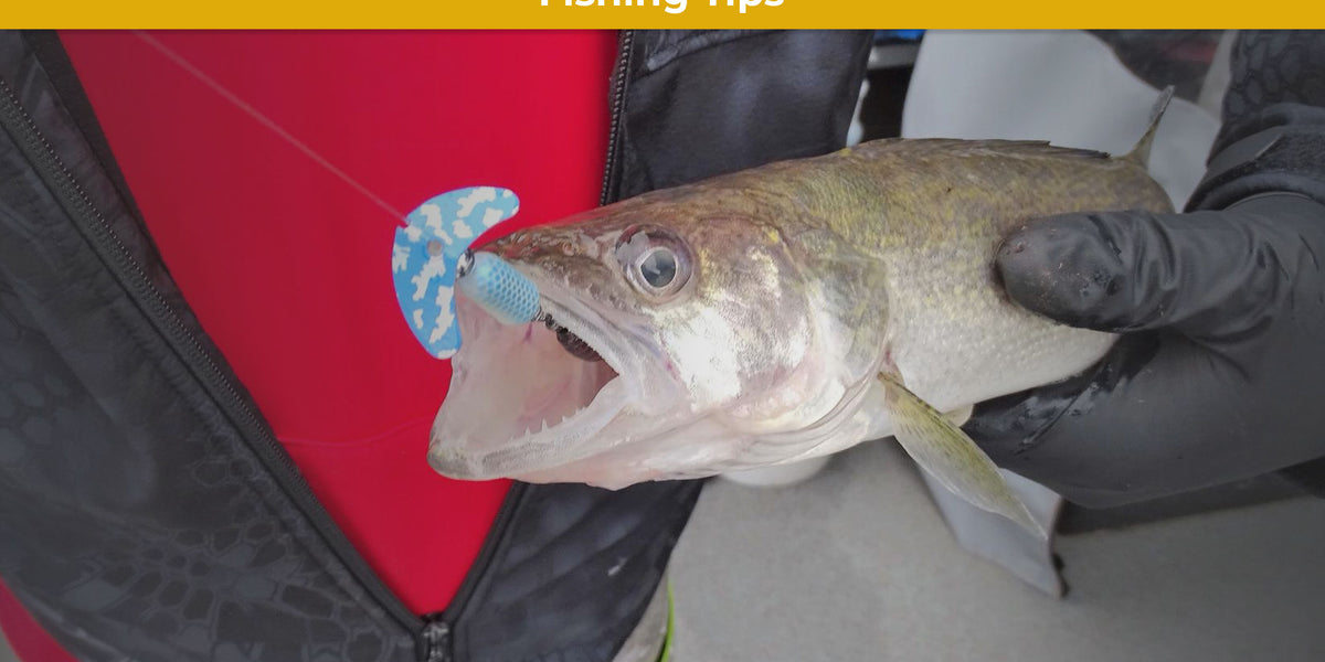 Top Smile Blade Colors for Catching Walleye — Mack's Lure Tackle
