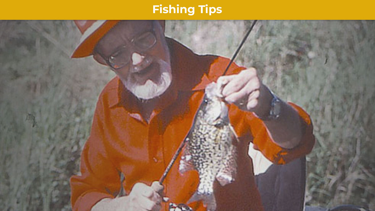 Ode to America's Favorite Panfish - Fishing for Crappie in Springtime —  Mack's Lure Tackle