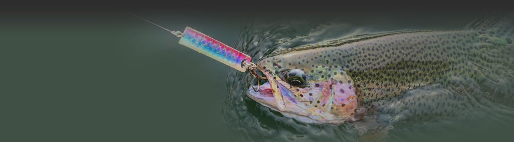 Top 5 Mistakes New Trout Anglers Make