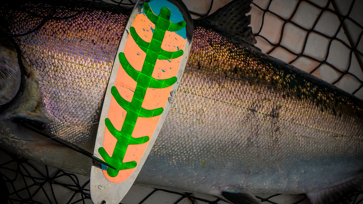 Destination Nootka Sound: Salmon & Bottom Fish How-To — Mack’s Lure Tackle
