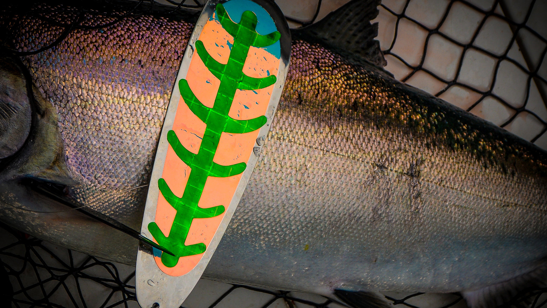 Destination Nootka Sound: Salmon & Bottom Fish How-To