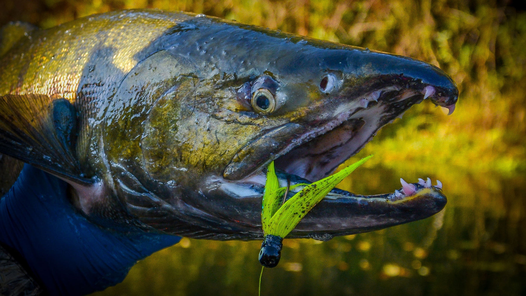 Brooks: 5 Reasons You Should Fish a Rock Dancer Bucktail Jig
