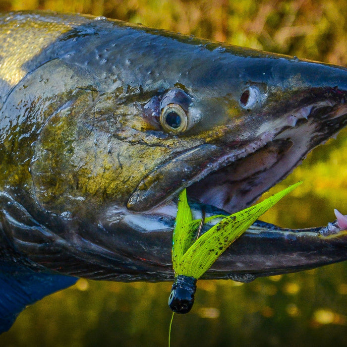 Brooks: 5 Reasons You Should Fish a Rock Dancer Bucktail Jig
