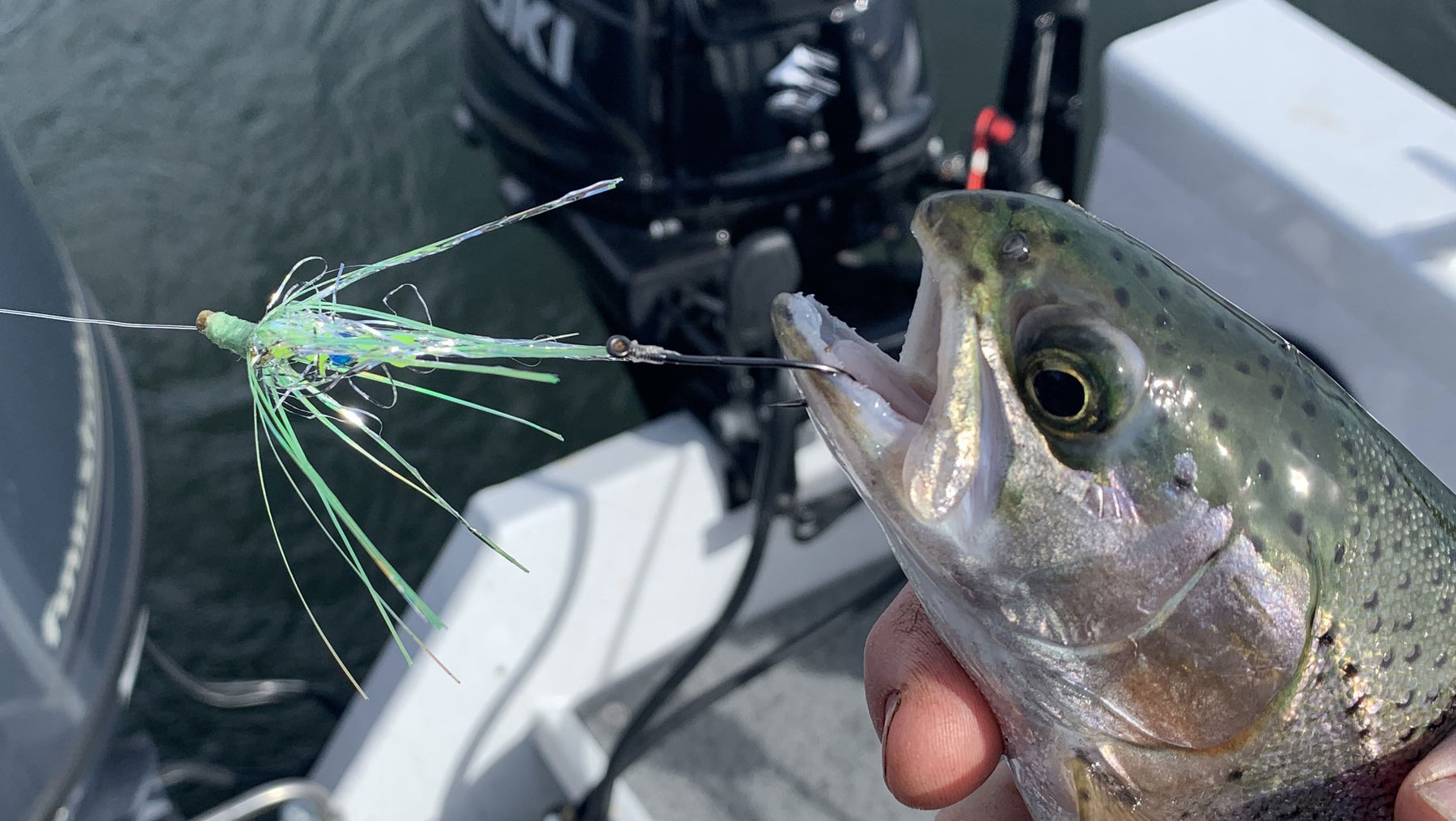 Pro Tips: Targeting Rainbow Trout on Lake Topaz