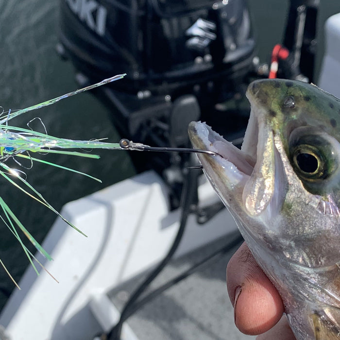 Pro Tips: Targeting Rainbow Trout on Lake Topaz