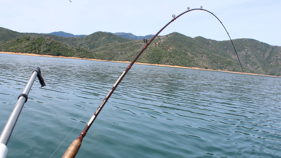 Kokanee and Trout Downrigger Fishing Tips — Mack's Lure Tackle