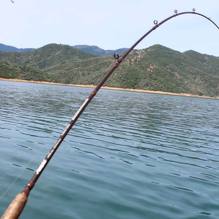 Kokanee and Trout Downrigger Fishing Tips