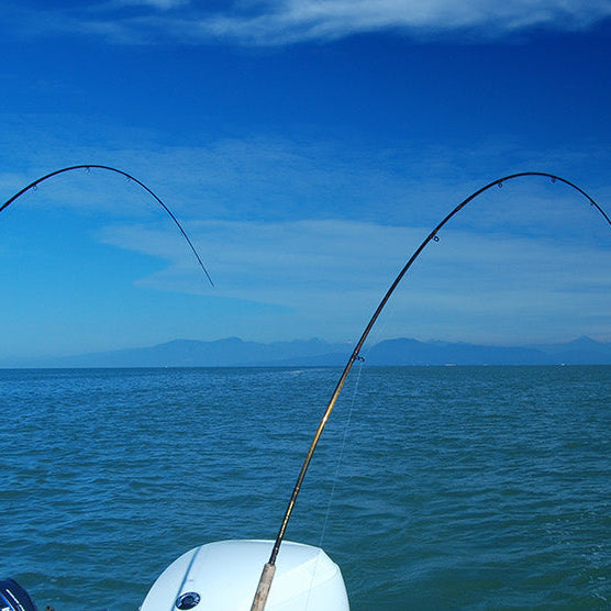 2X Your Downrigger Coverage: Shuttle Hawk System