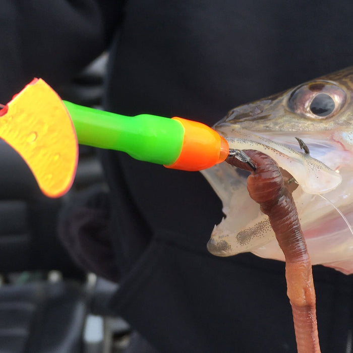 Walleye Winter to Spring Transition