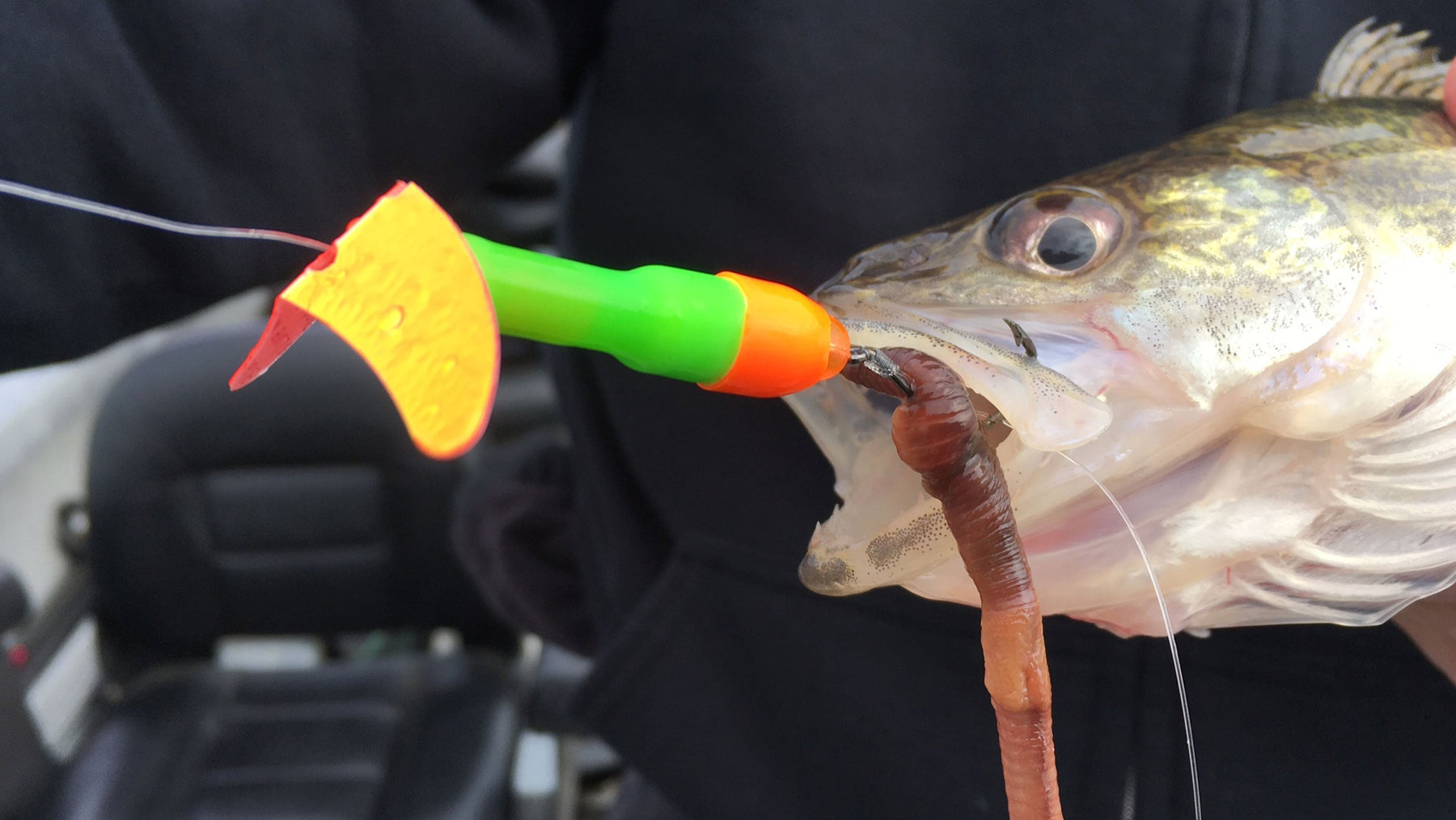 Walleye Winter to Spring Transition