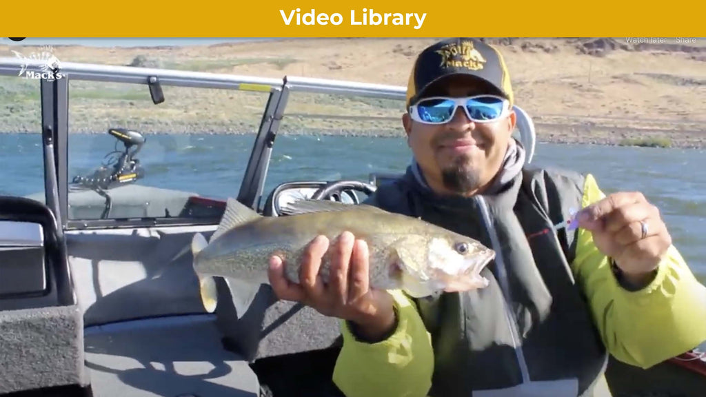 Columbia River Walleye on Smile Blade Spinners — Mack's Lure Tackle