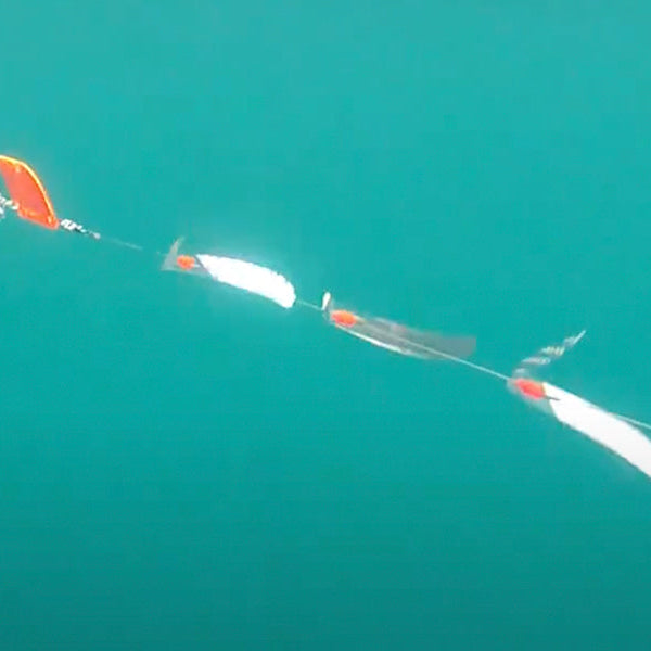 Unlocking Kokanee Success with Mack’s Flash Lite Troll: An In-Depth Guide