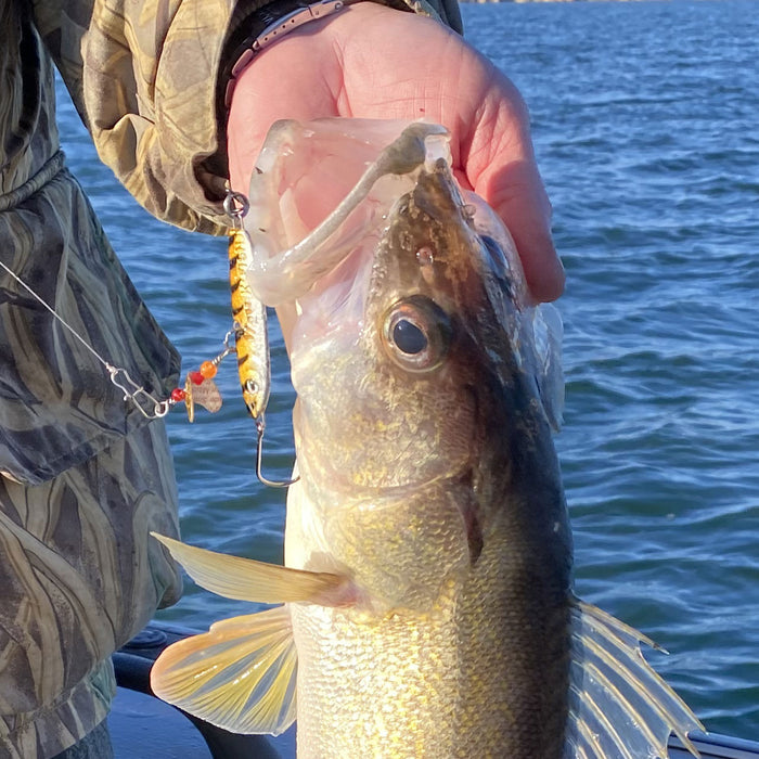 Harrington: How Light Intensity Impacts Walleye Fishing