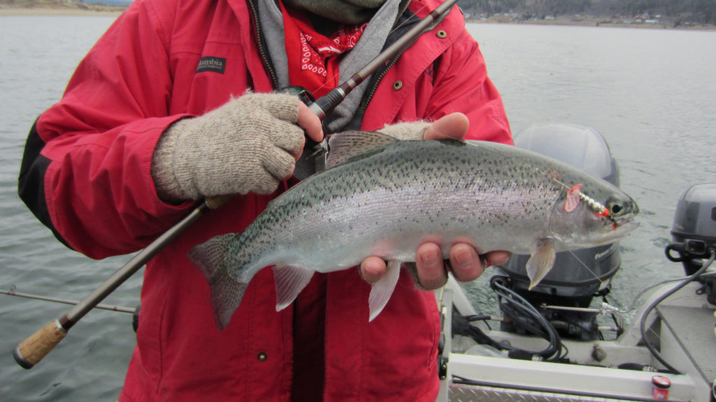 Harrod: Winter Trout Fishing in the Pacific Northwest — Mack's Lure