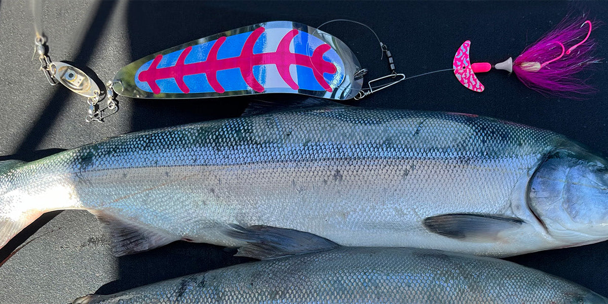 Baker Lake Sockeye Fishing Guide: Expert Secrets for Catching Sockeye ...