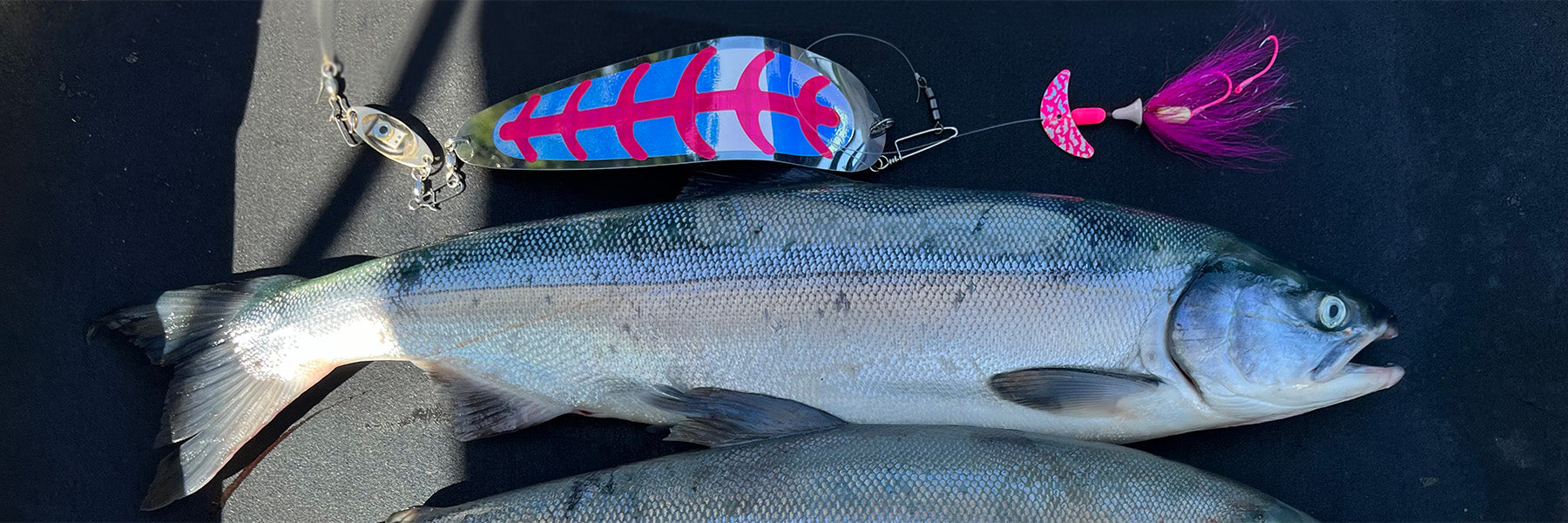 Baker Lake Sockeye Fishing Guide: Expert Secrets for Catching Sockeye Salmon