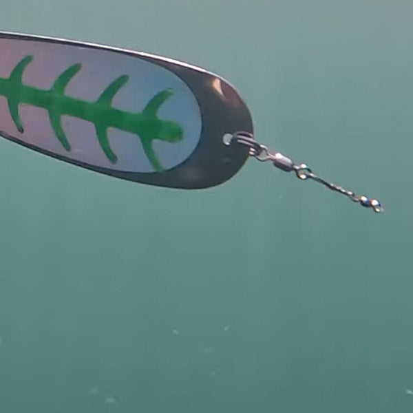 Unlocking Kokanee Secrets: Underwater Footage