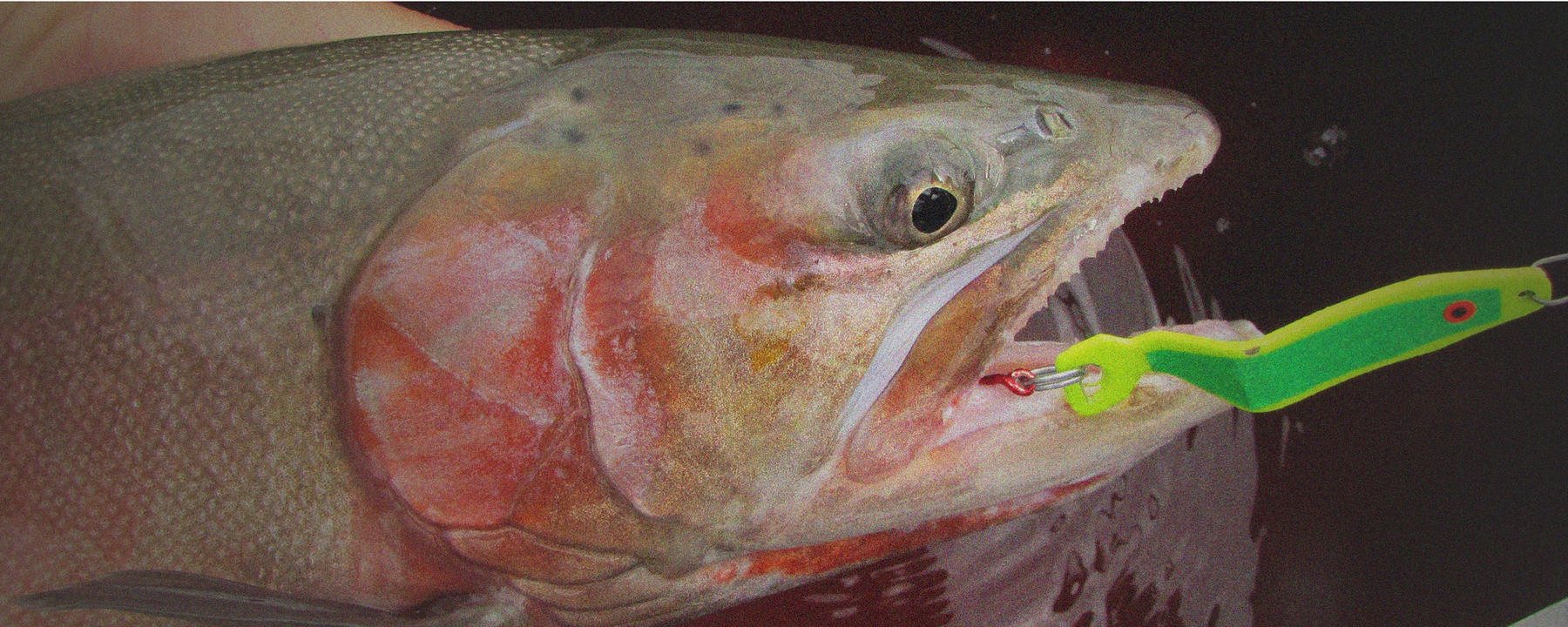 Winter Kokanee Fishing with the Hum Dinger