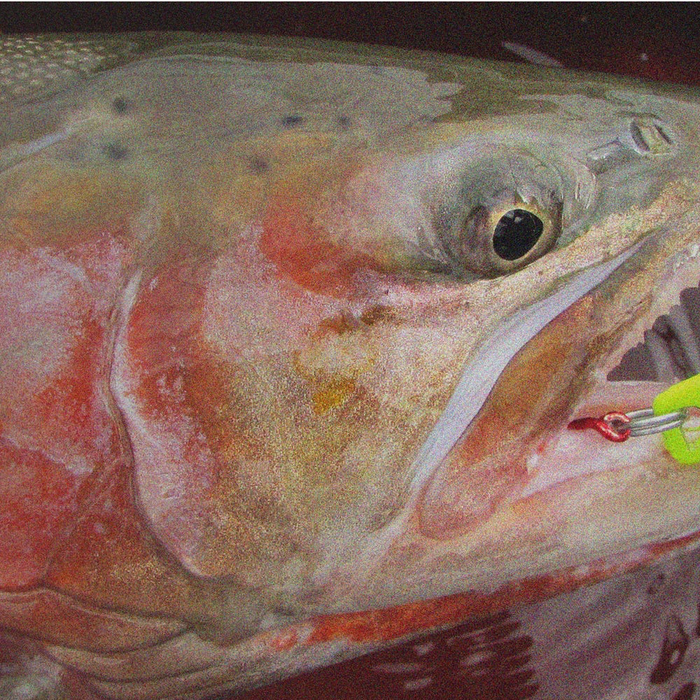 Winter Kokanee Fishing with the Hum Dinger