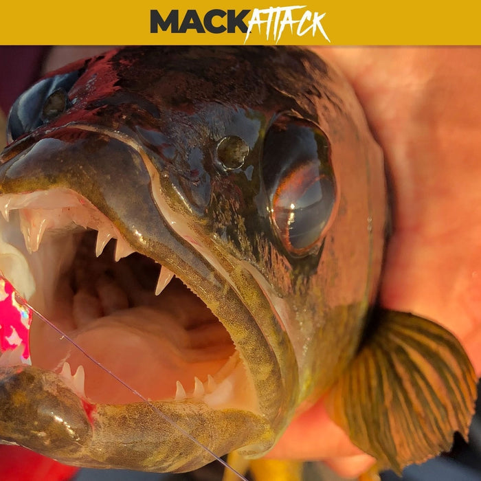 Utilizing the Smile Blade for Walleye Fishing