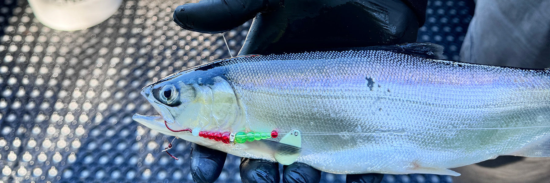 Kokanee Tactics on Bucks Lake