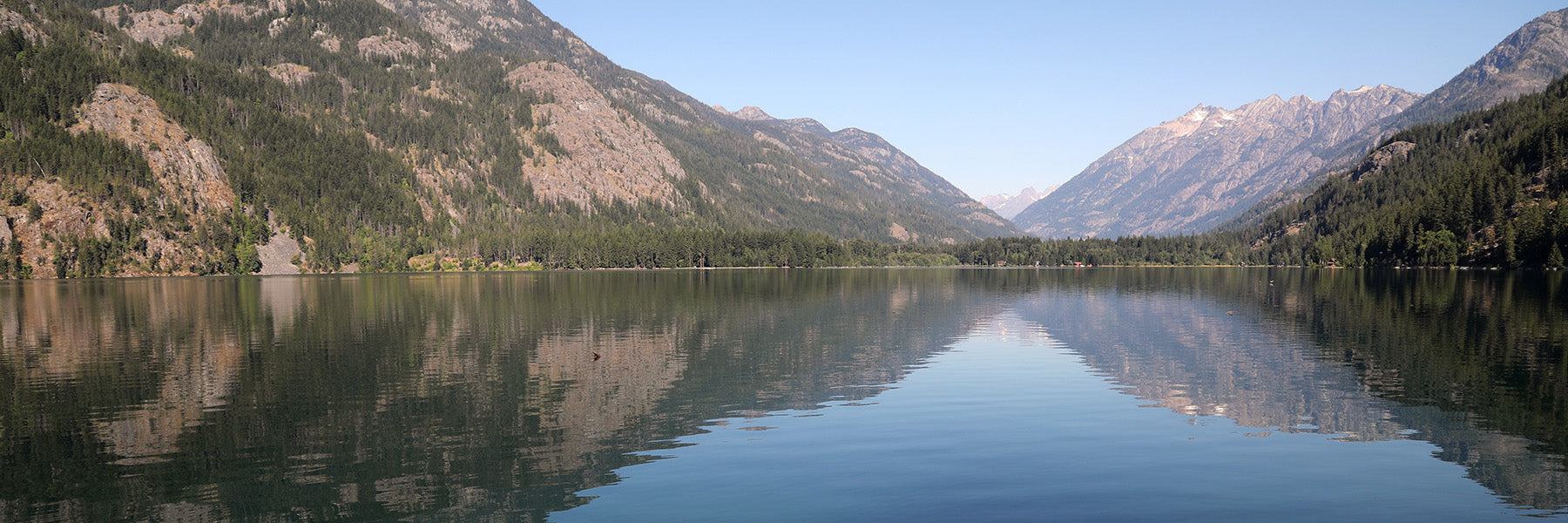Late Summer Kokanee Gold on Lake Chelan