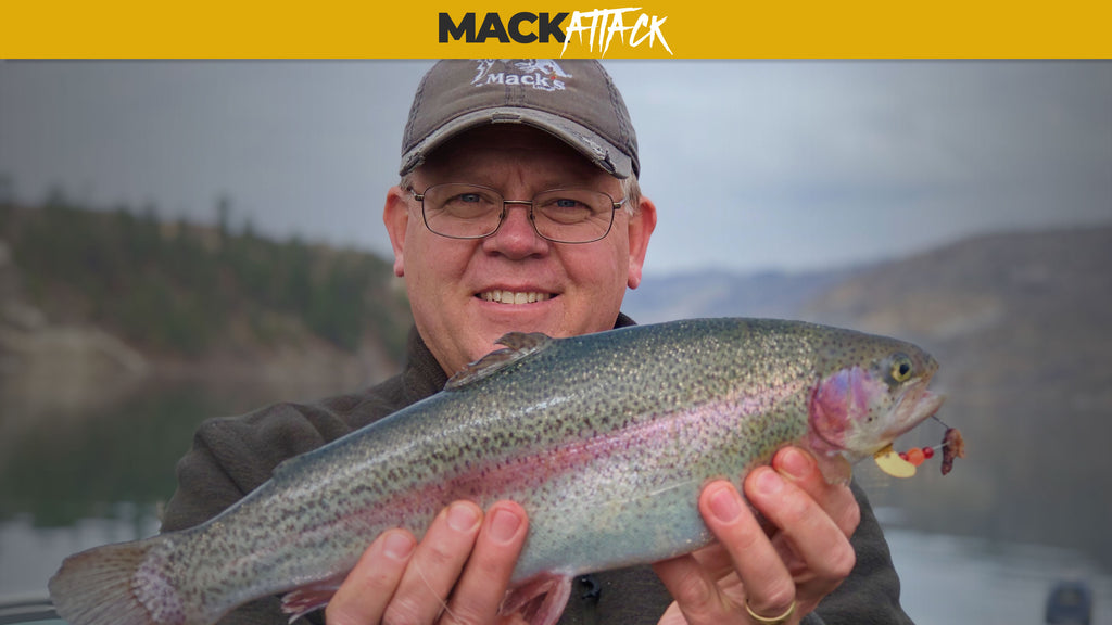 Best Tips to Effectively Troll for Rainbow Trout — Mack's Lure Tackle