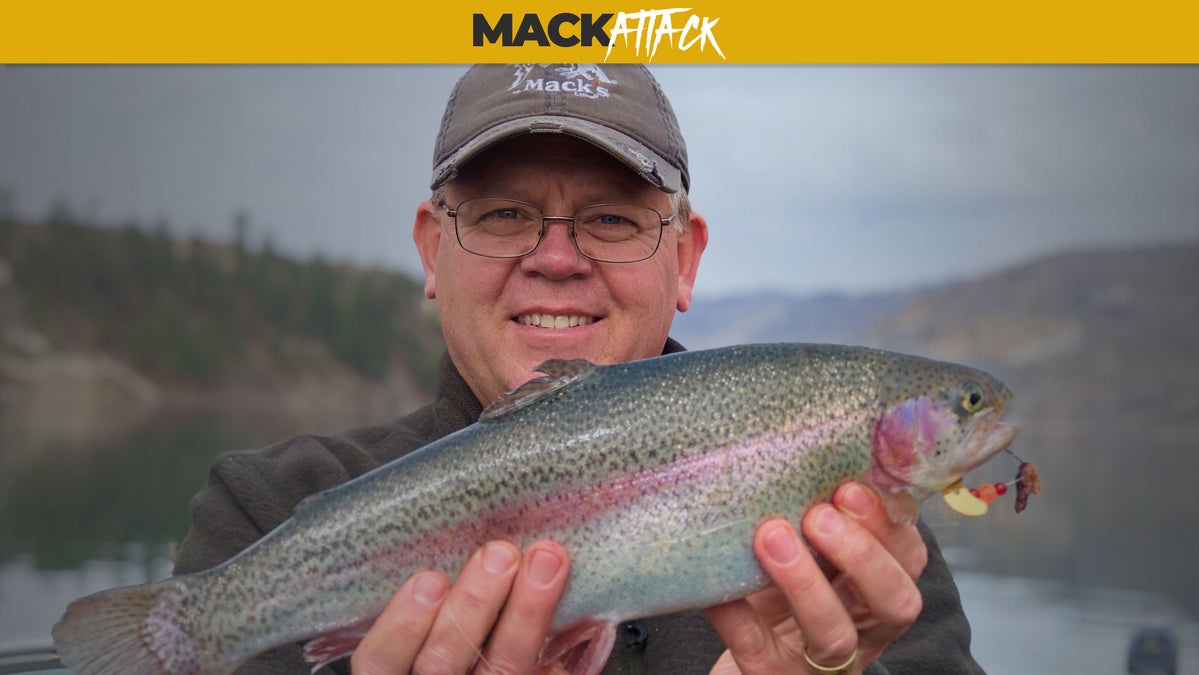 How To Fish For Rainbow Trout Efficiently?