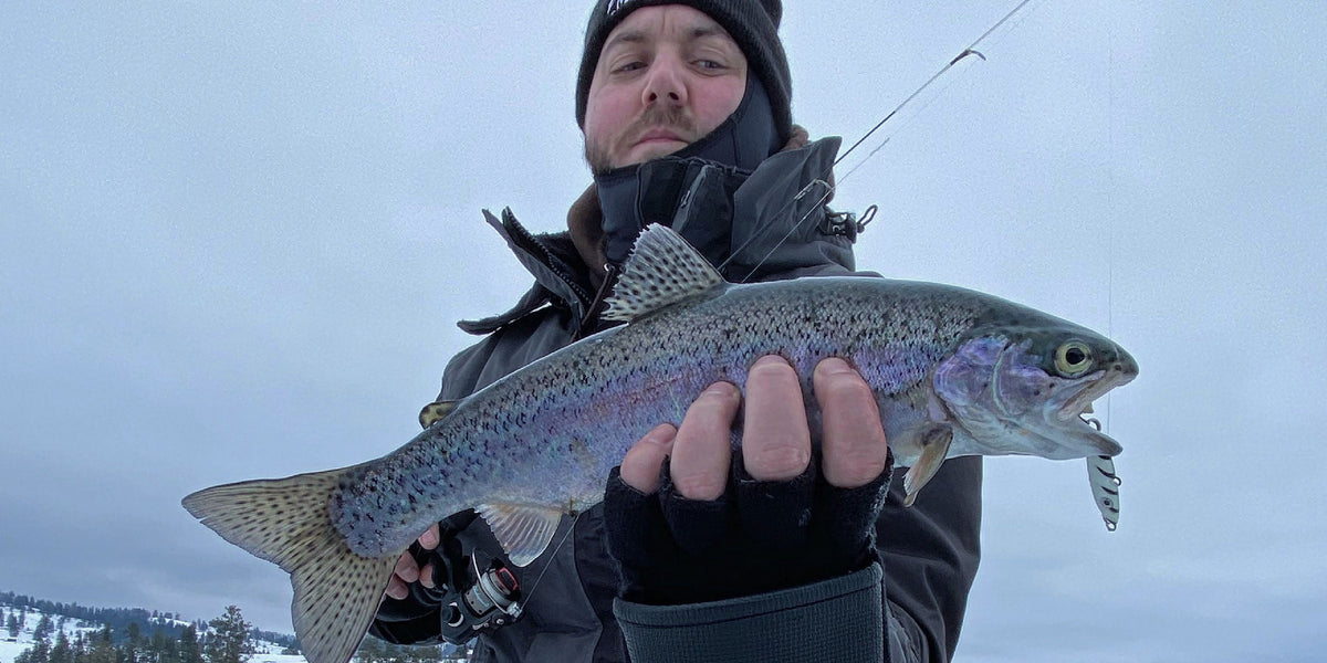 When ice fishing for trout, stealth is crucial. Here's why