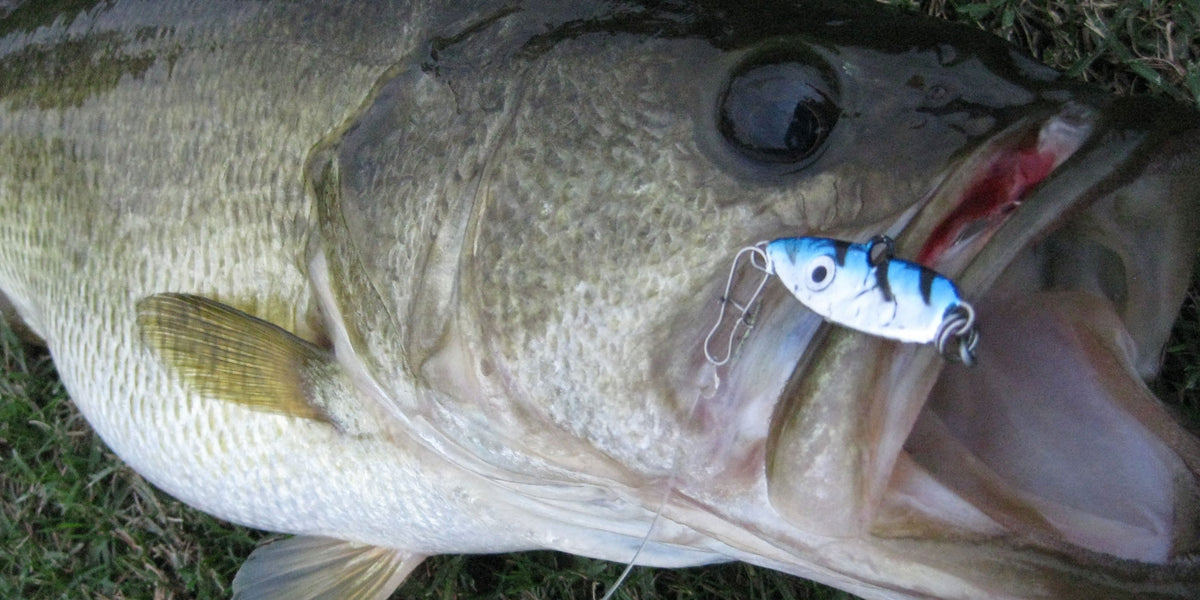 SBF Tips: Small Lures Catch Big Fish — Mack's Lure Tackle