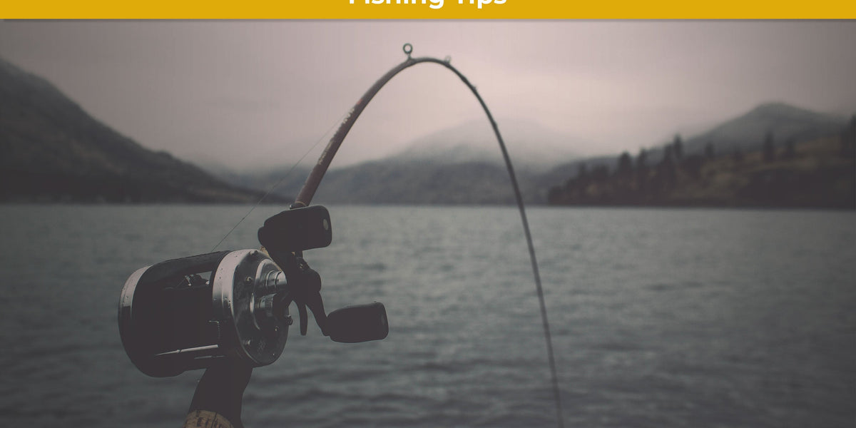 downrigger fishing pole line Okuma CP GLT Rod and durability is the backbone of this series What is the best choice