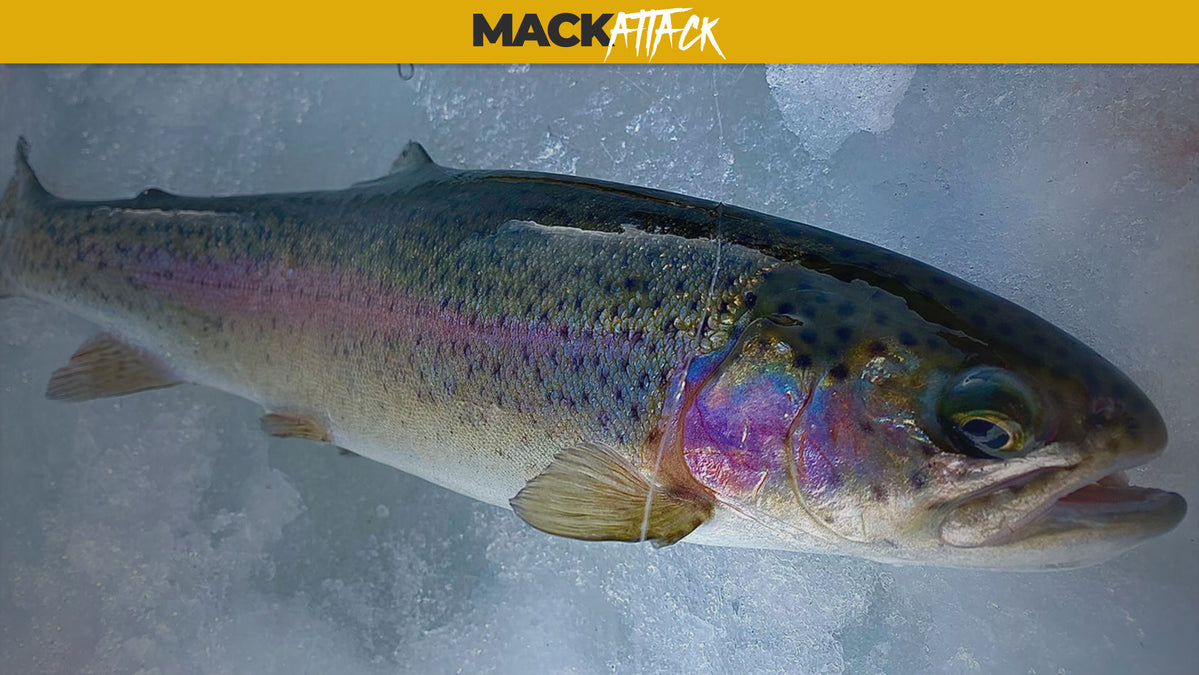 How to trick-out your ice fishing lures to increase your catch